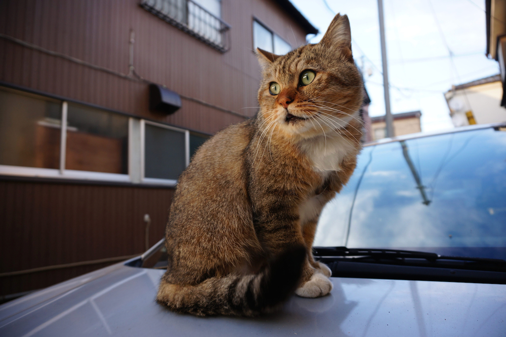 2014_10_11 16_18_50-NEX-5T-Sony E PZ 16-