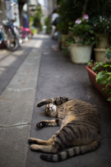 2013_05_27 12_58_25-Canon EOS 6D-35mm