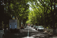 2013_06_27 13_35_30 X-Pro1 XF35mmF1.4 R