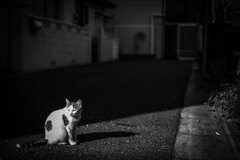2013_11_06 14_04_40-Canon EOS 6D-Zeiss M