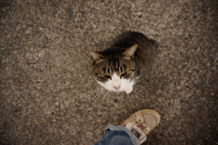 2014_11_02 13_35_24-NEX-5T-Sony E PZ 16-