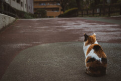 2013_02_14 13_57_17 X-Pro1 XF35mmF1.4 R
