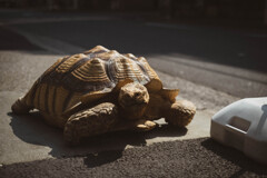 2013_03_08 12_49_40 X-Pro1 XF35mmF1.4 R