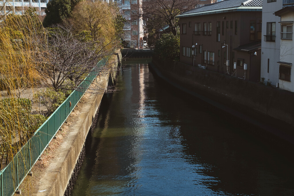 2013_02_01 12_40_39 X-Pro1 XF35mmF1.4 R