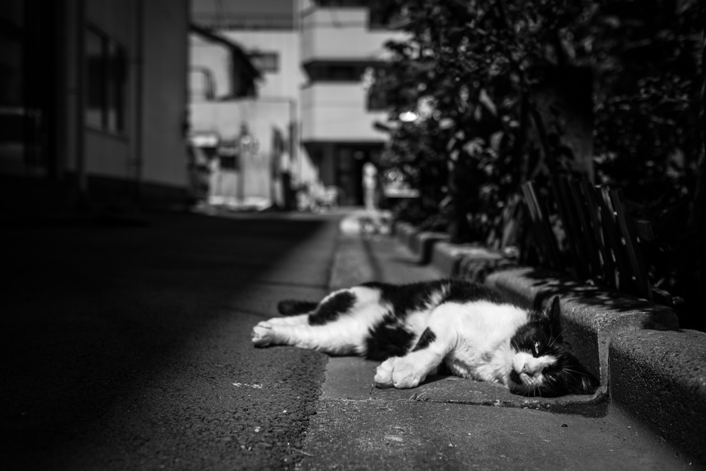 2014_06_13 09_22_49-X-Pro1-XF23mmF1.4 R
