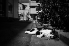 2014_06_13 09_22_49-X-Pro1-XF23mmF1.4 R