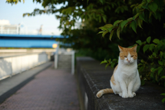 2014_10_25 15_05_03-X-T1-35.0 mm f_1.4
