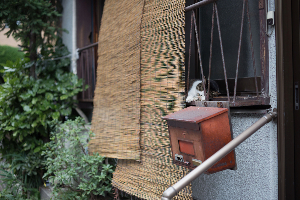 2013_08_03 11_51_24-Canon EOS 6D-Zeiss M