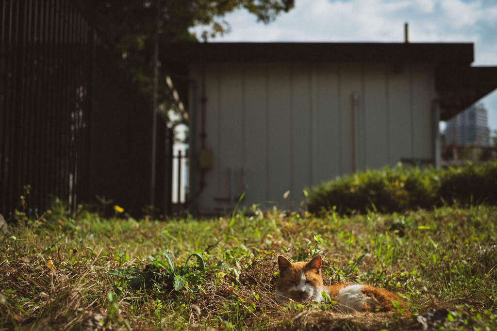 2013_11_11 12_23_02 X-Pro1 XF35mmF1.4 R