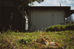 2013_11_11 12_23_02 X-Pro1 XF35mmF1.4 R