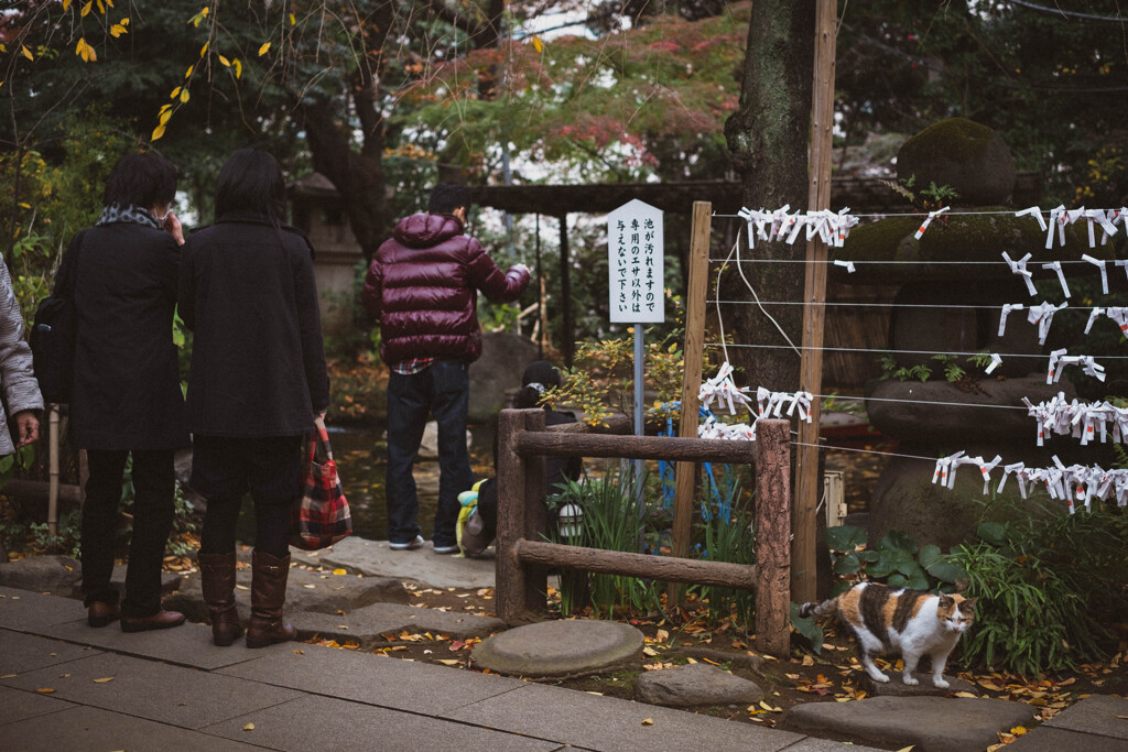 2013_11_28 14_05_21 X-Pro1 XF35mmF1.4 R