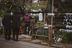 2013_11_28 14_05_21 X-Pro1 XF35mmF1.4 R