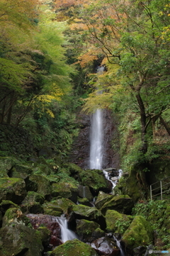 養老の滝