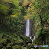 養老の滝