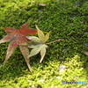 終焉