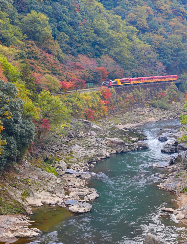 シュポ〜っと、紅葉の中をトロッコで