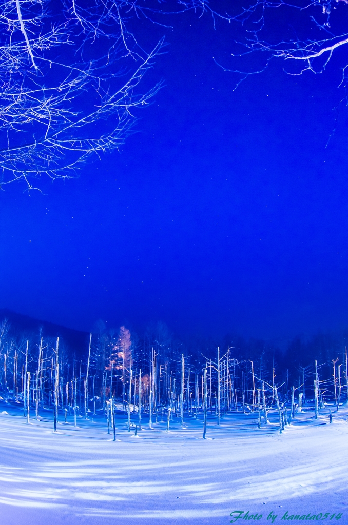 Pond of Snowfield with Orion