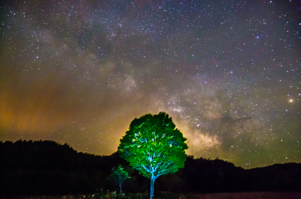 The tree of milk way　～星の降る里より～