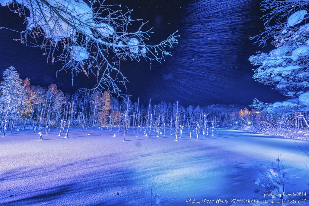 蒼い中、駆ける雪