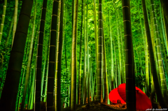 The Tale of the Bamboo-Cutter～竹取物語～