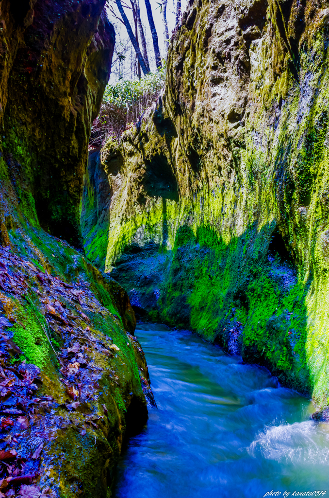 Green wall @Tarumae Garo