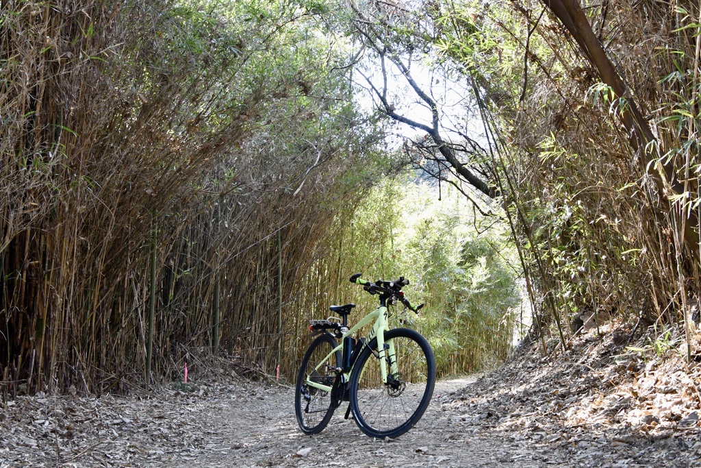 自転車散歩
