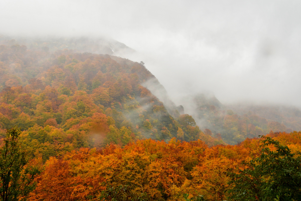 月山の紅葉