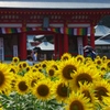 補陀洛山 満願寺