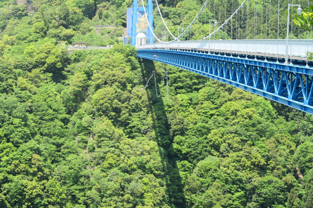 バンジージャンプ