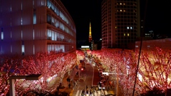 イルミネーション定番