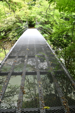 祖谷峡にかかるグリーチングの吊り橋（今井橋）