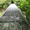 祖谷峡にかかるグリーチングの吊り橋（今井橋）