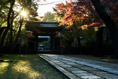 近所のお寺