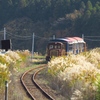 南阿蘇鉄道　トロッコ列車