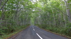 ドライブ、最高！！