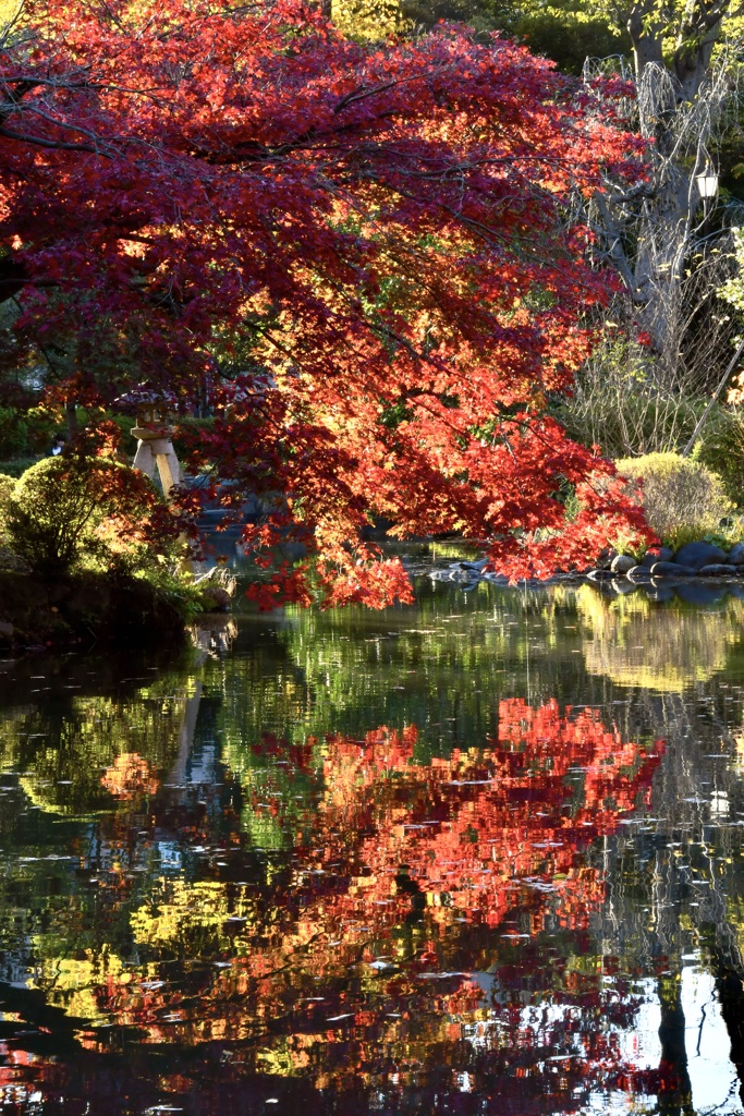 有栖川公園にて