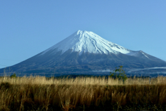 富嶽