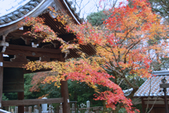 東福寺　京都