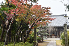 近所のお寺