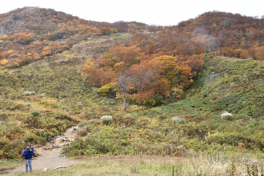 谷川岳　天神平