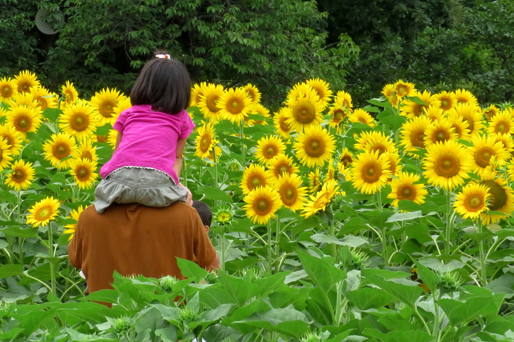 よく見える！！