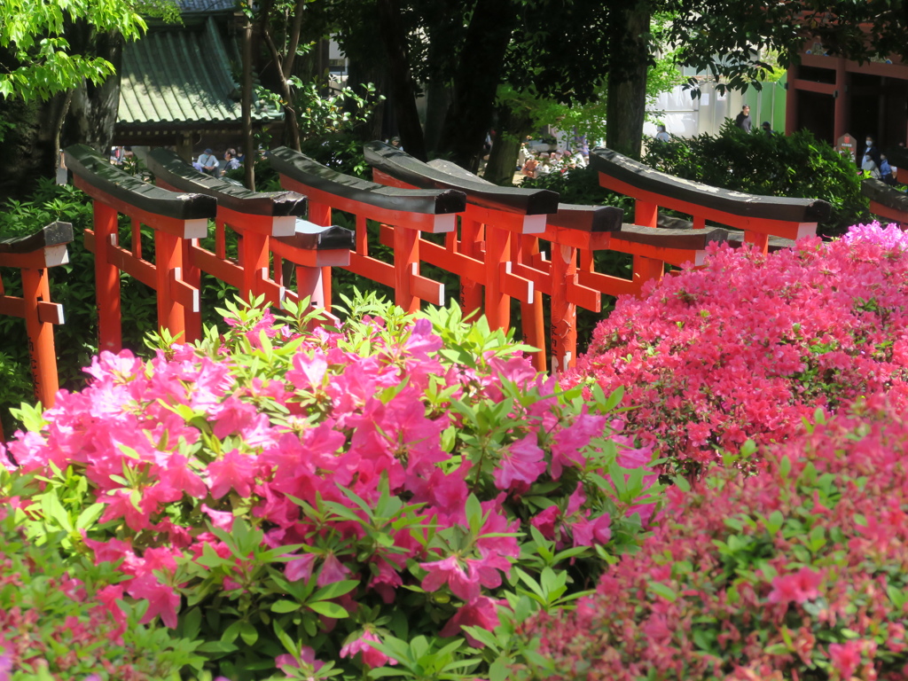 根津神社