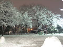 オールドデジカメ