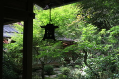 京都大原　宝泉院