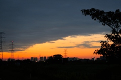 久しぶりに雨がやみました