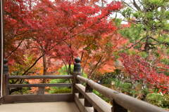 大雄山 海禅寺にて