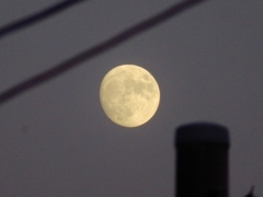十三夜