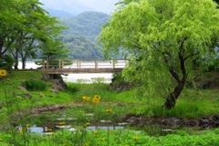 橋のある風景