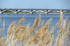 手賀沼にかかる橋