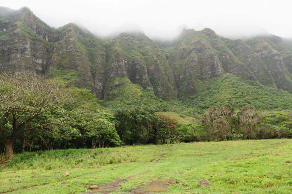 ジュラシックパーク